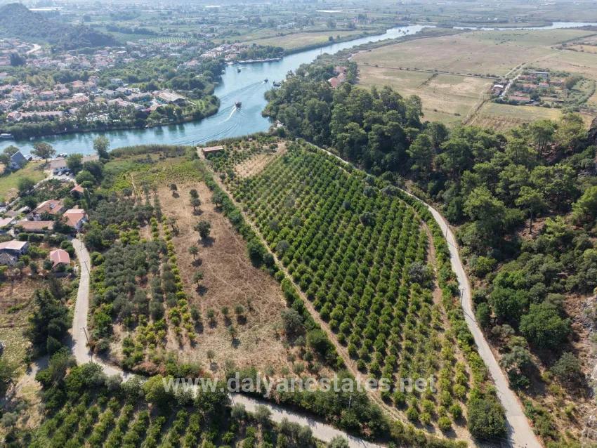 Для продажи Поле в Çandır Köyceğiz - Под Поле застройку - 20.000 m²