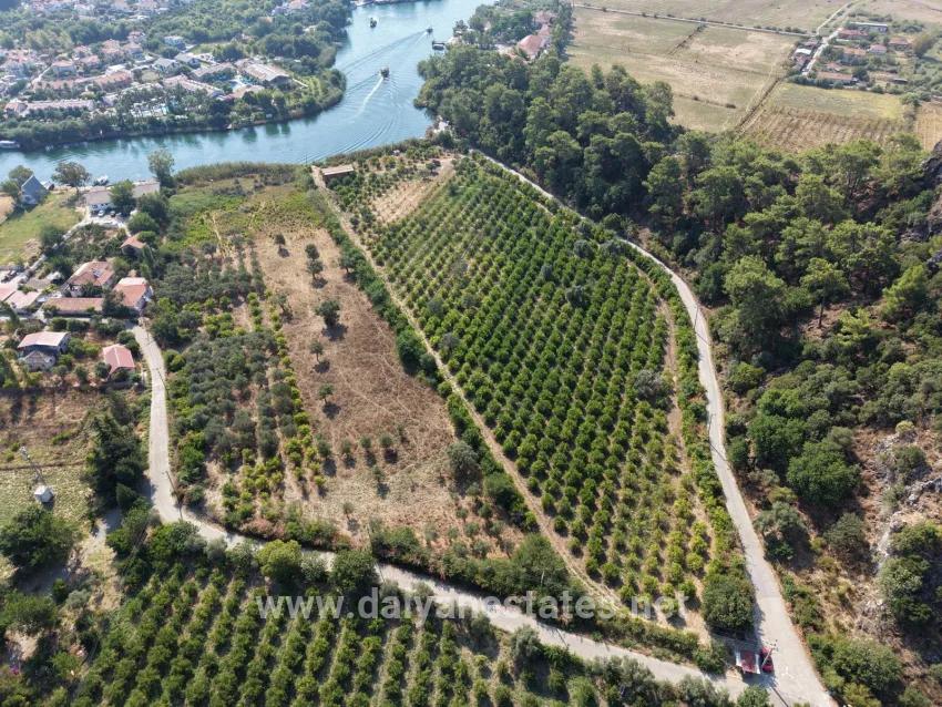 Для продажи Поле в Çandır Köyceğiz - Под Поле застройку - 20.000 m²