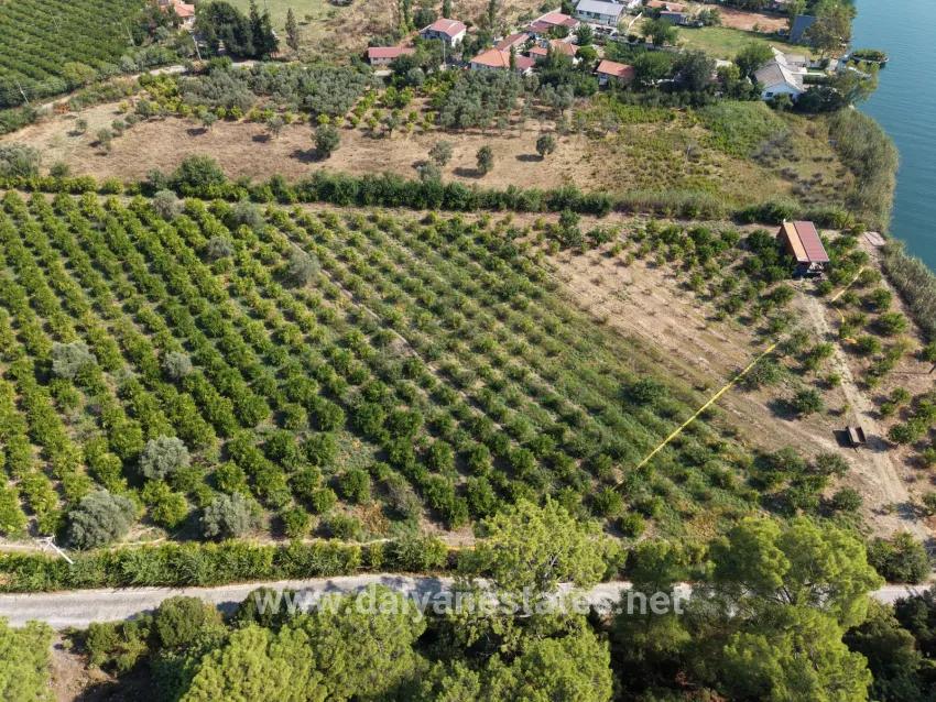 Для продажи Поле в Çandır Köyceğiz - Под Поле застройку - 20.000 m²