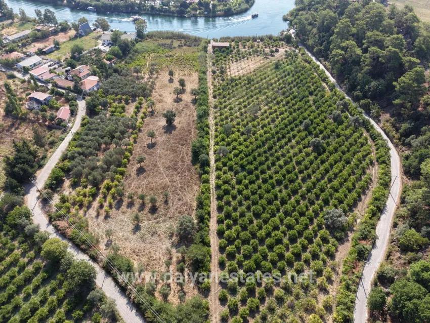 Для продажи Поле в Çandır Köyceğiz - Под Поле застройку - 20.000 m²