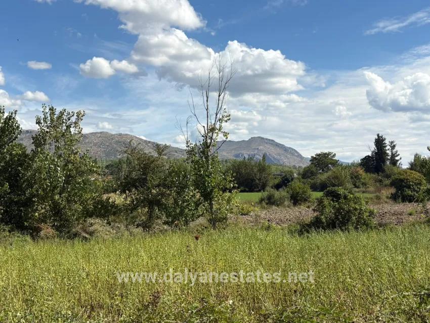 Для продажи Поле в Zeytinalanı Köyceğiz - Под Поле застройку - 10.500 m²