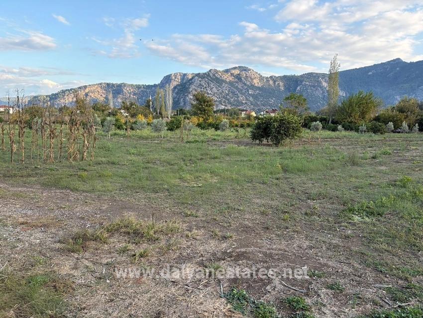 В Дальяне Продается Земельный Участок Площадью 7450 М² С Зонированием 5%.