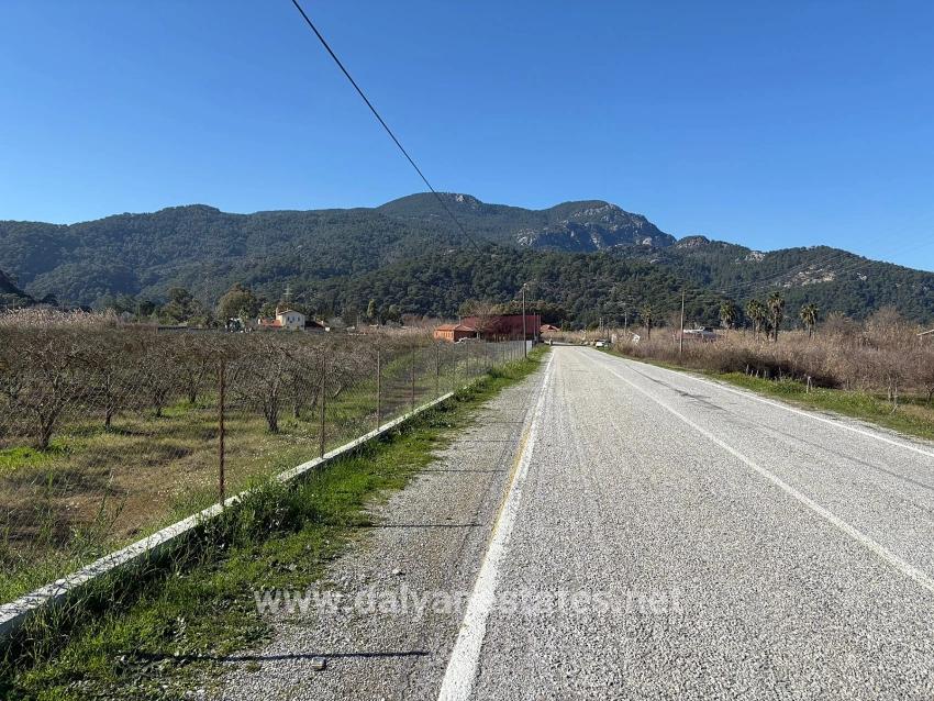 Продается Земельный Участок Площадью 5985 М2 В Дальяне, Зонированный Под Виноградник/фруктовый Сад С 5% Площади.