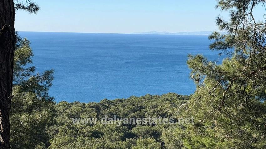 Для продажи Поле в Çandır Köyceğiz - Под Жилье застройку - 5.715 m²