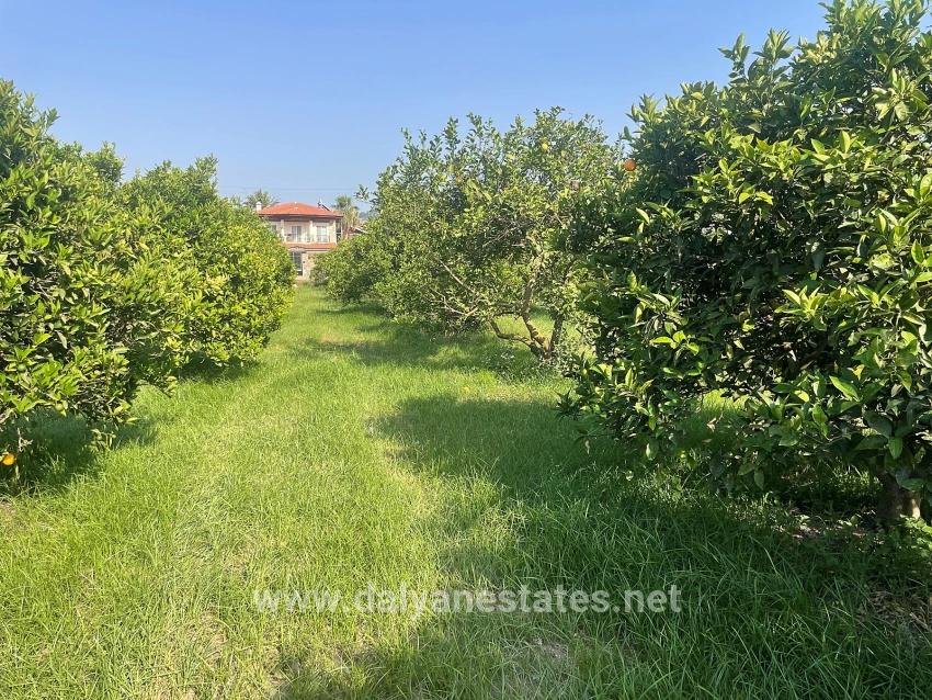 Земля 722м2 На Продажу В Дальян Гюльпынар