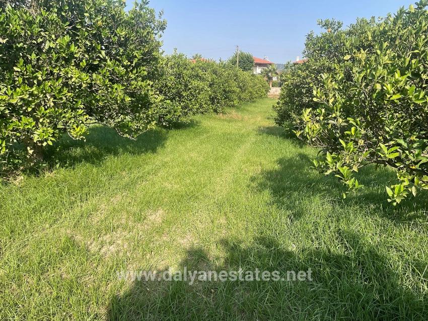 Земля 722м2 На Продажу В Дальян Гюльпынар