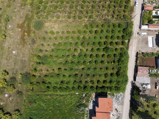 Продается Земельный Участок Площадью 1050 М2 В Жилом Районе Поселка Окчулар.