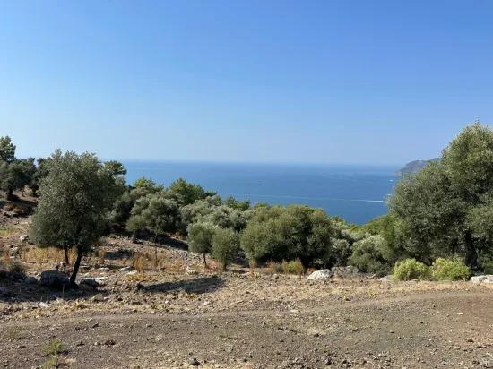 В Çandır с видом на море 21.000 m2 продаётся 2b поле