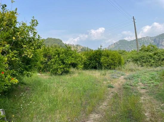 Земля 7800m2 На Продажу В Гёкбеле, Рядом С Дорогой Изтузу Бич Роуд
