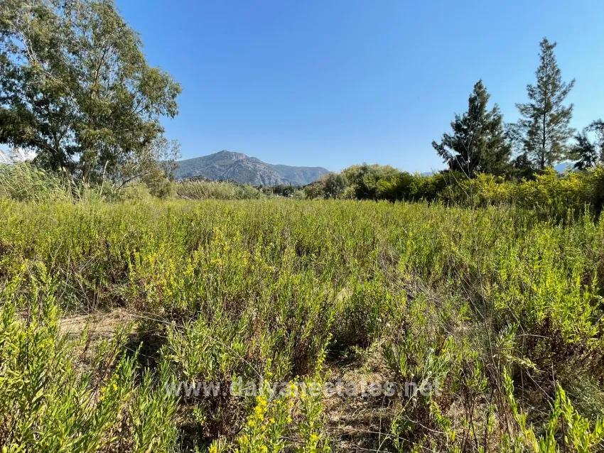 Çandır'da Kanala Sıfır 2765m2 Satılık Müstakil Ev