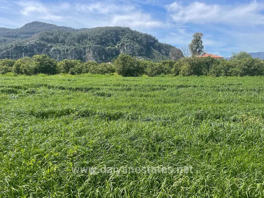 Okçular'da 736m2 Olan 250m2 İnşaat İzinli Satılık Arsa