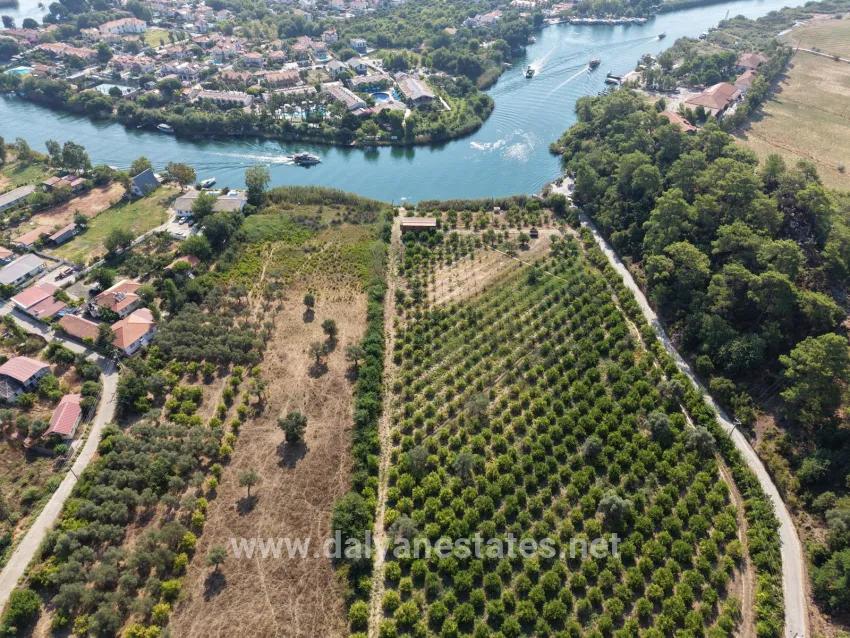 Köyceğiz Çandır Mah. Satılık Tarla - Tarla İmar Durumlu - 20.000 m²