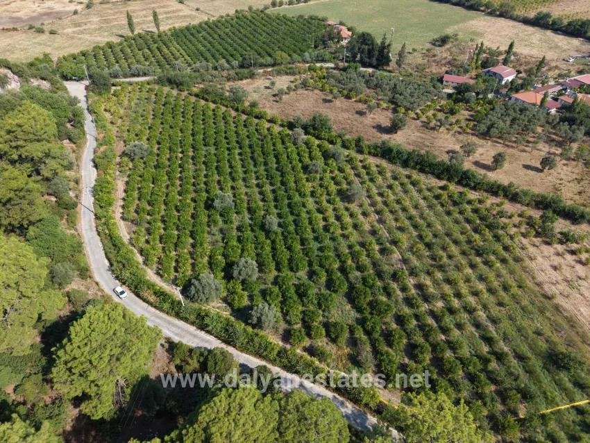 Köyceğiz Çandır Mah. Satılık Tarla - Tarla İmar Durumlu - 20.000 m²