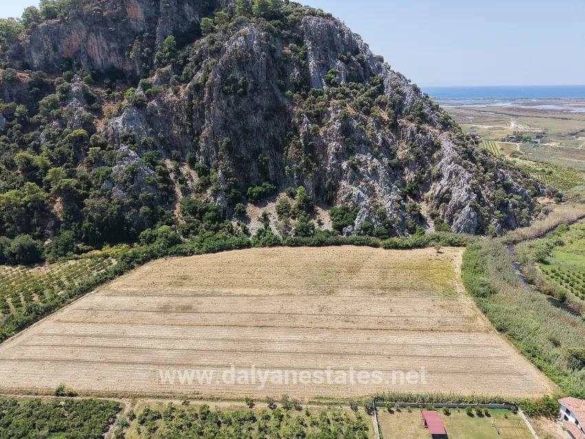 Ortaca Dalyan Mah. Satılık Tarla - Tarla İmar Durumlu - 20.786 m²