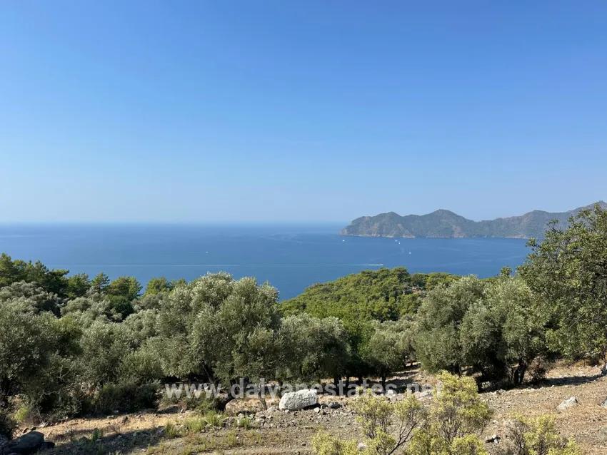 Köyceğiz Çandır Mah. Satılık Tarla - Tarla İmar Durumlu - 21.000 m²