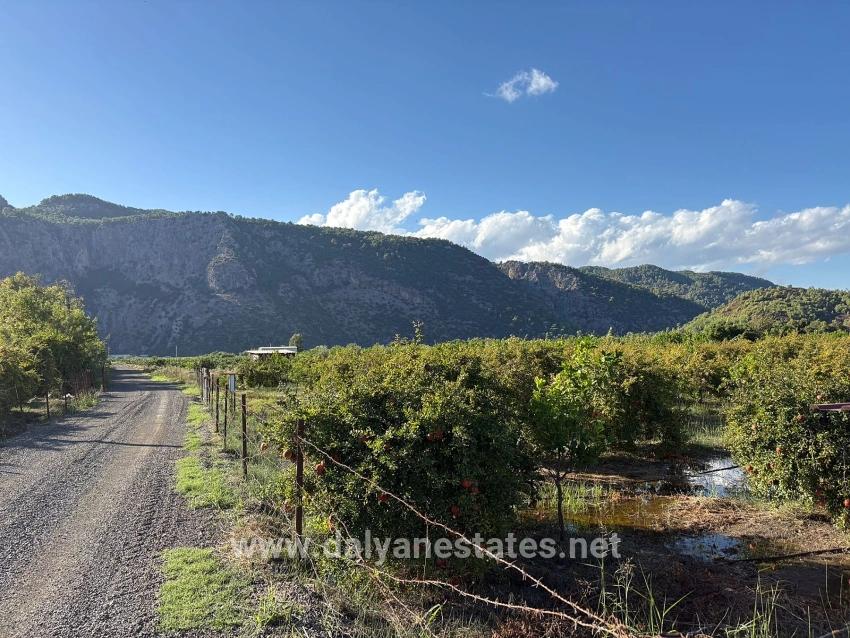 Ortaca Yeşilyurt'ta İmarlı 3900m2 Satılık Arsa