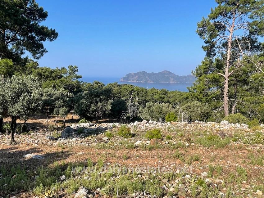 Köyceğiz Çandır Mah. Satılık Tarla - Konut İmar Durumlu - 10.481 m²