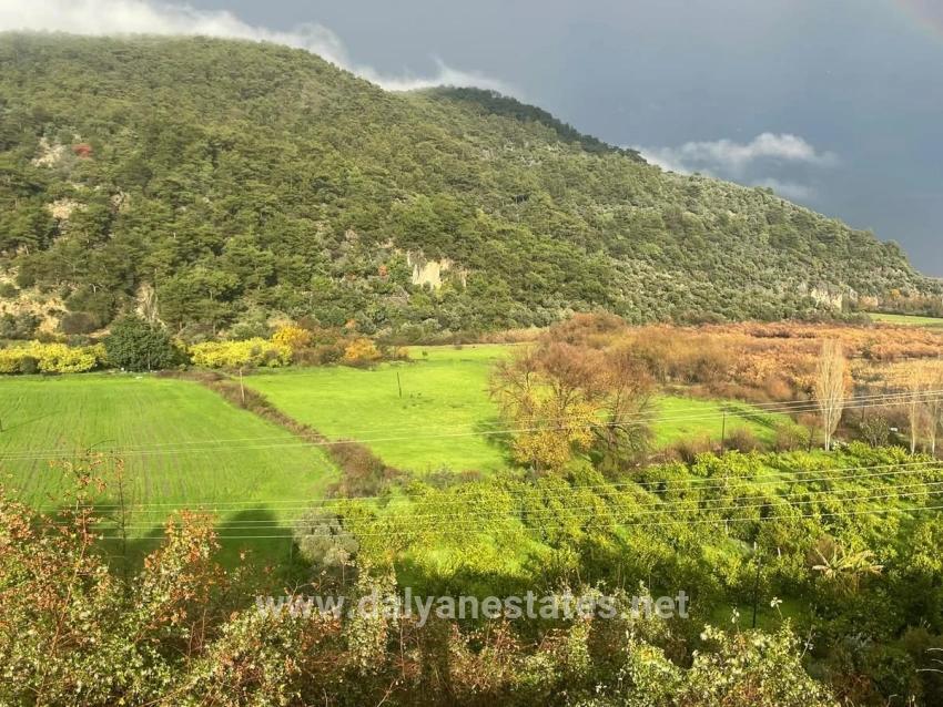 Köyceğiz Çandır'da 35000m2 Satılık Çiftlik Arazisi