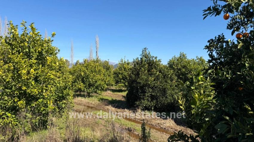 Okçular Marmarlı'da 2.218m2 Satılık Arsa