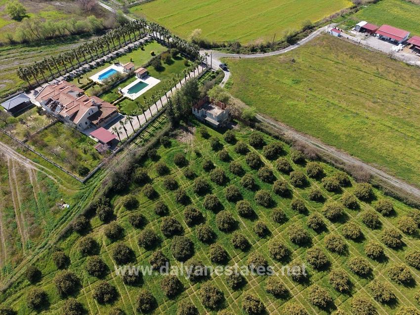 Dalyan Merkeze Yakın 17.550m2 Satılık Bağ-bahçe