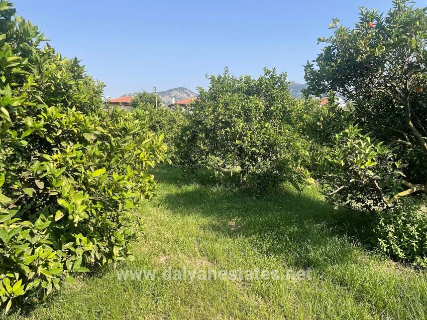 Dalyan Gülpınar'da 722m2 Satılık Arsa