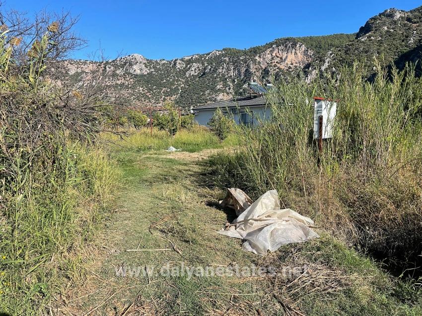 Dalyan'da Merkeze Yakın 6600m2 Satılık Tarla