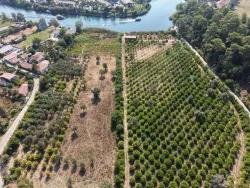 Köyceğiz Çandır Mah. Satılık Tarla - Tarla İmar Durumlu - 20.000 m²