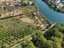 Köyceğiz Çandır Mah. Satılık Tarla - Tarla İmar Durumlu - 20.000 m²