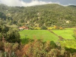 Köyceğiz Çandır Mah. Satılık Arazi - Tarla İmar Durumlu - 35.000 m²