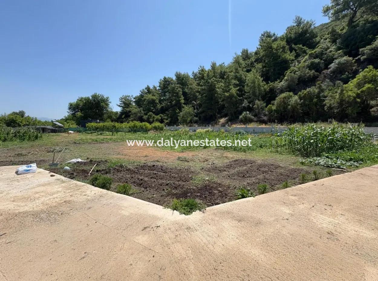 Dalyan Karadağ Mevkiinde 2500M2 Tarla İçerisinde 120M2 Müstakil Ahşap Ev