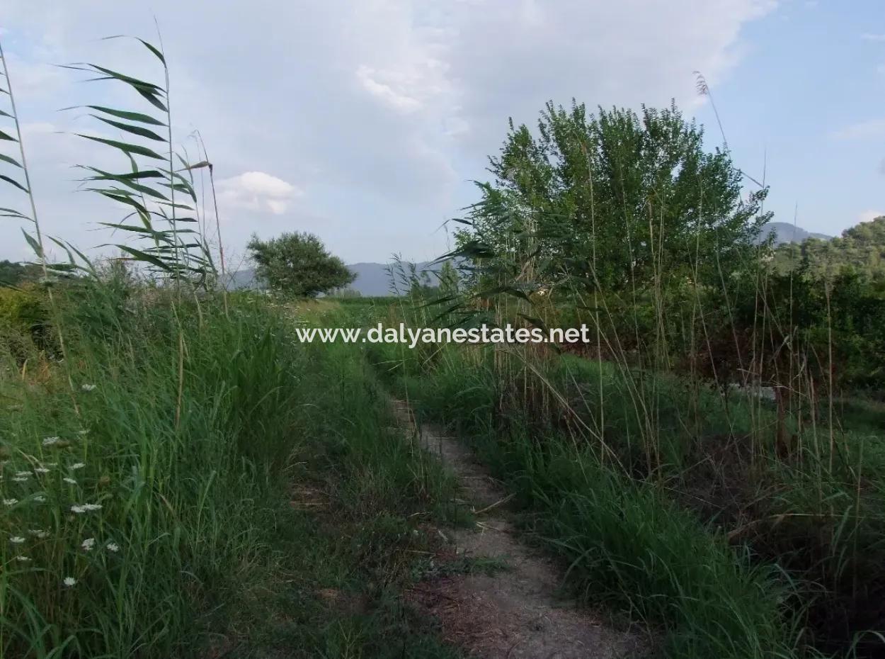 Dalyan Satılık Tarla Dalyan Merkeze Yakın 14,612M2 Satılık Tarla