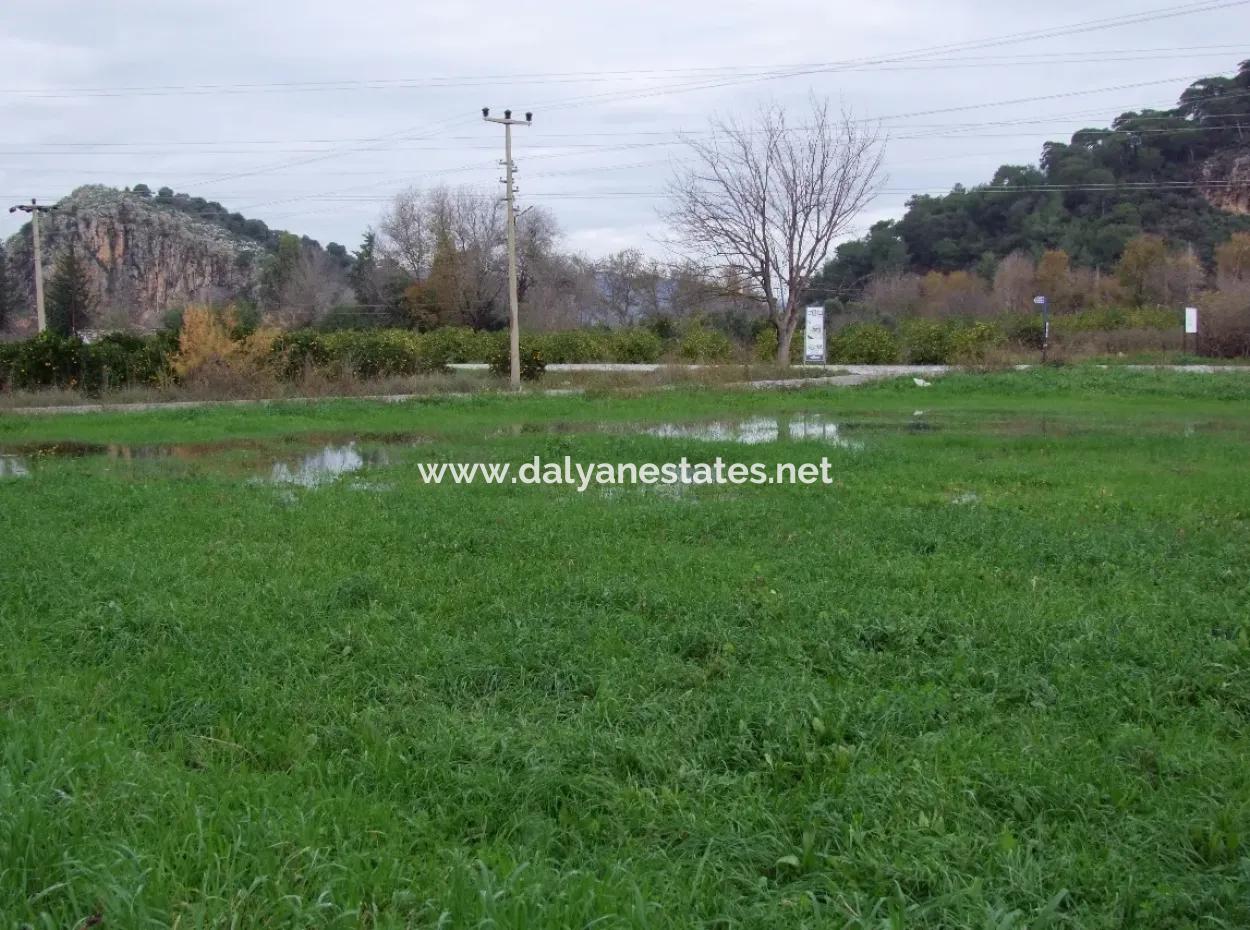 Dalyan Gülpınar Satılık Arsa Dalyan 1,002M2 Satılık Köşenası Satılık Arsa