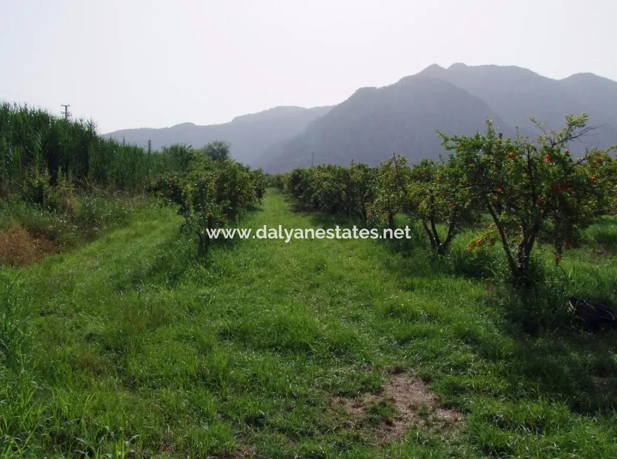 Dalyan İztuzu Satılık Bahçe Dalyan Göle Sıfır Satılık Arsa