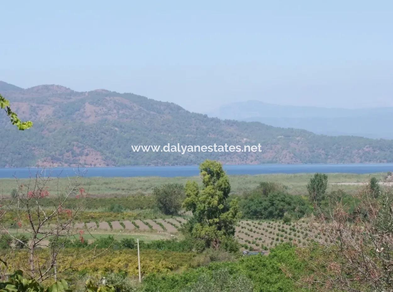 Dalyan Satılık Tarla Dalyan 73410M2 Satılık Tarla