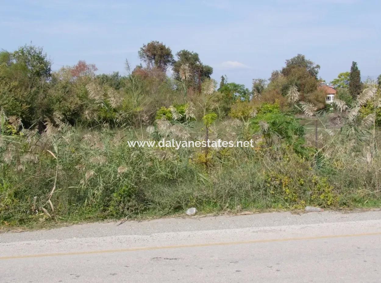 Güzelyurt Da Satılık Arsa Ana Yola Sıfır 5515M2 Satılık Arsa