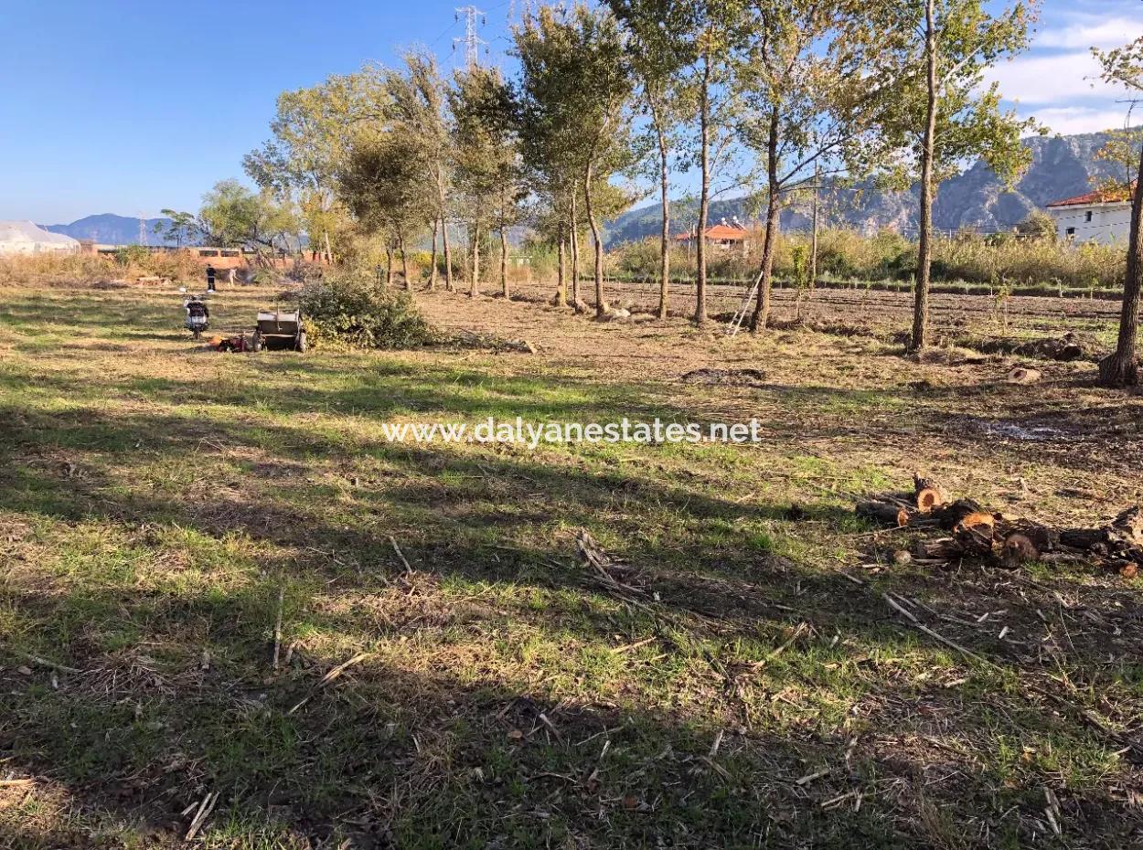 Dalyan'da 2540M2 Satılık Arsa