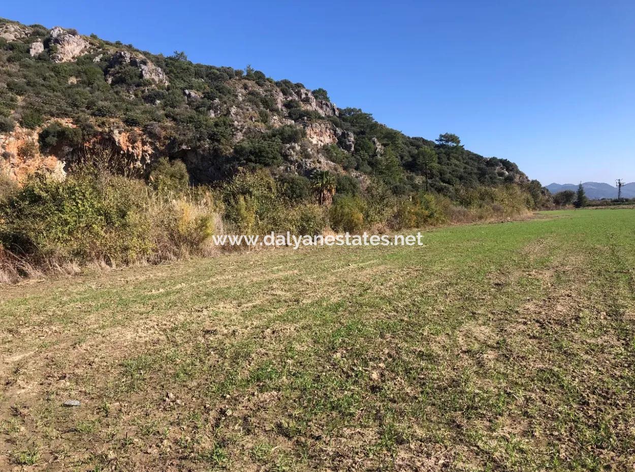 Sarıgermede Satılık Arsa Deniz Manzaralı 30,000M2 Satılık Arsa