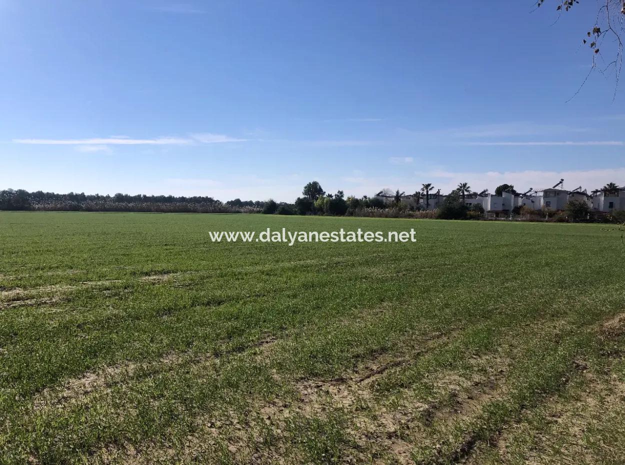 Sarıgermede Satılık Arsa Deniz Manzaralı 30,000M2 Satılık Arsa