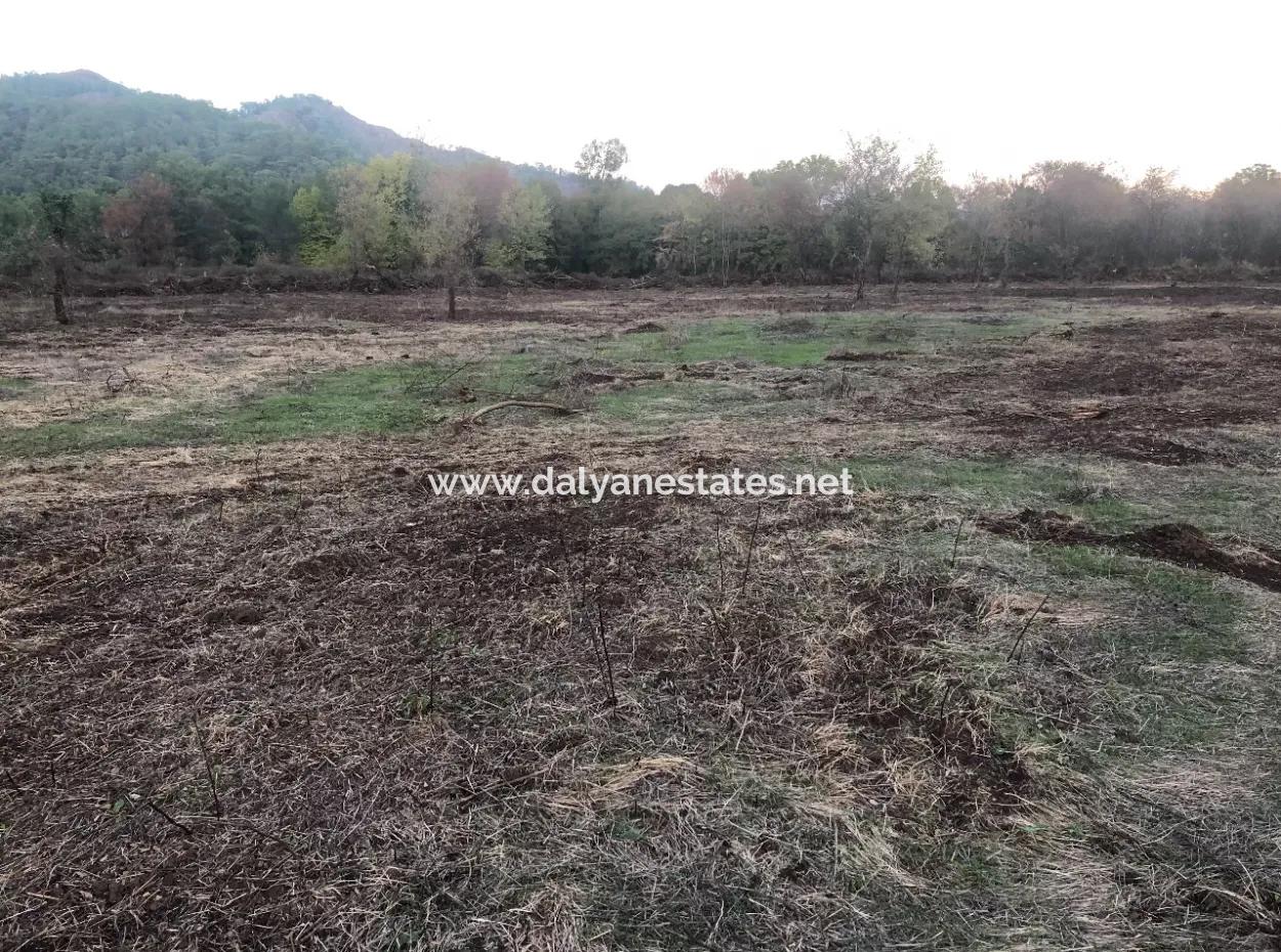 Sultaniye Satılık Arsa 10577M2 Göle Yakın Satılık Arsa