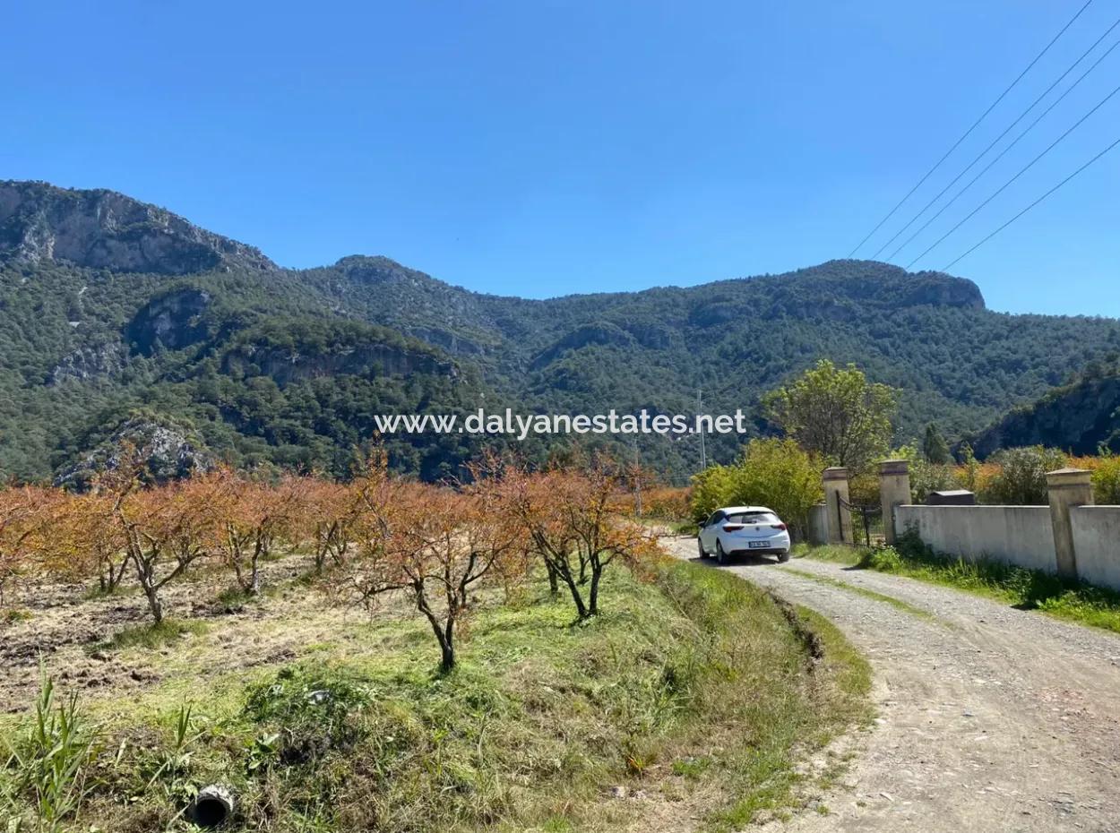 Dalyan'da 9310M2 Satılık Arsa