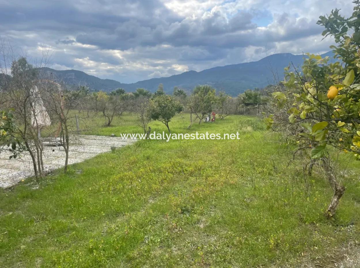 Dalyan Satılık Butik Otel 11.000M2 Arsa İçinde Satılık Bungolevler