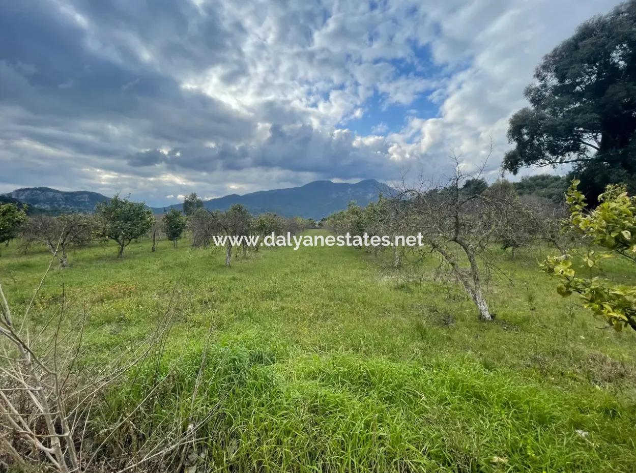 Dalyan Satılık Butik Otel 11.000M2 Arsa İçinde Satılık Bungolevler