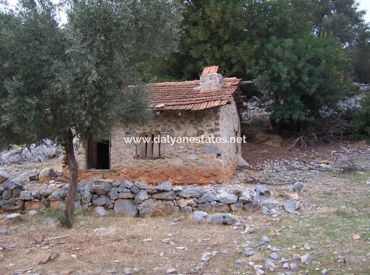 Sarsalada Deniz Manzaralı 4274M2 Arsa İçinde Satılık Taş Ev