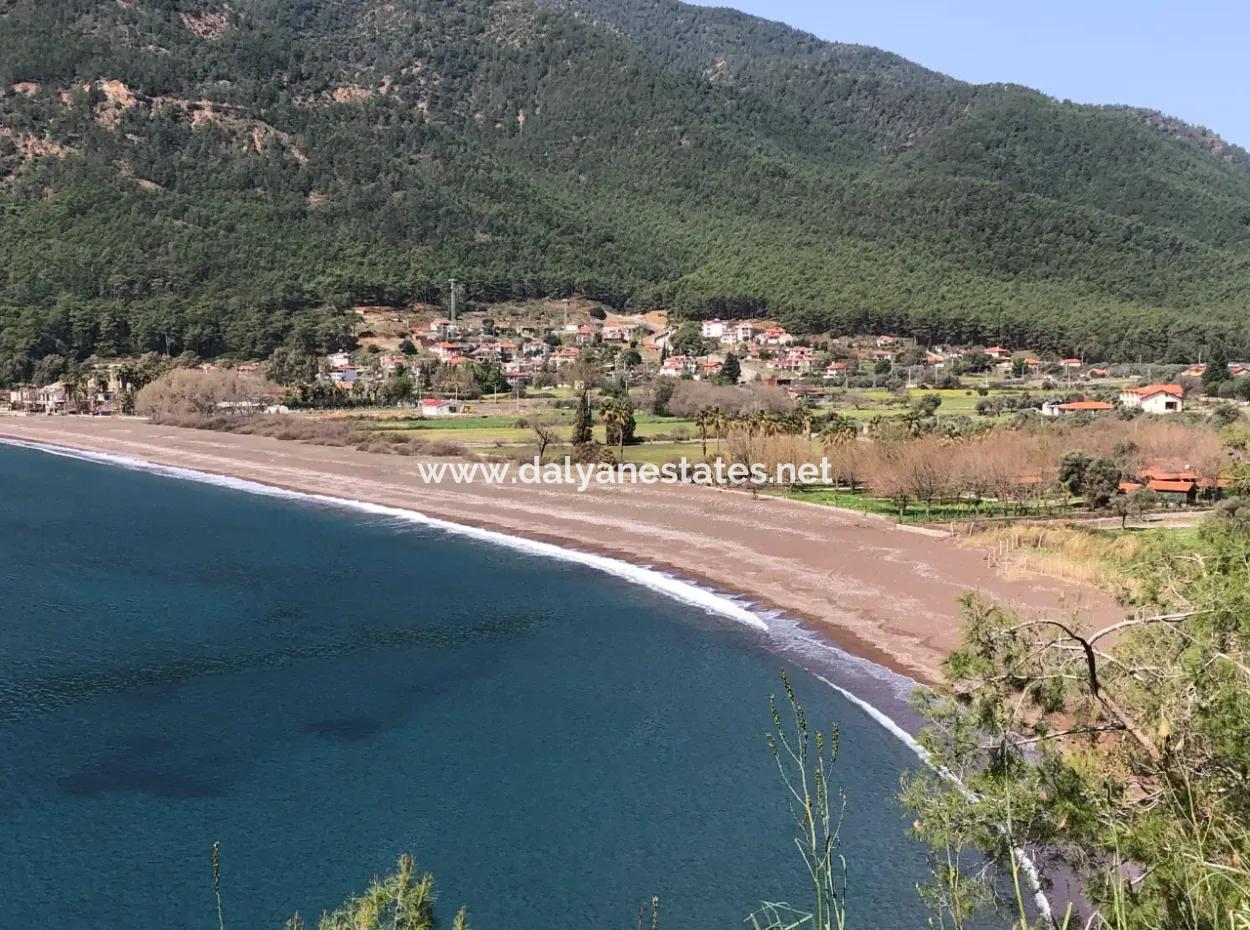 Ekincik'de Denize Yakın Manzaralı 3250M2 Satılık Arazi