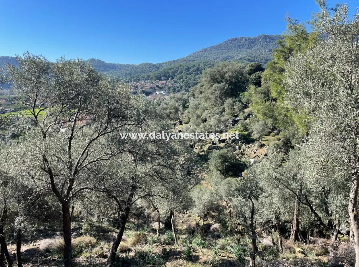 Çandır'da Deniz Ve Göl Manzaralı 950M2 Satılık 2B Tarlası