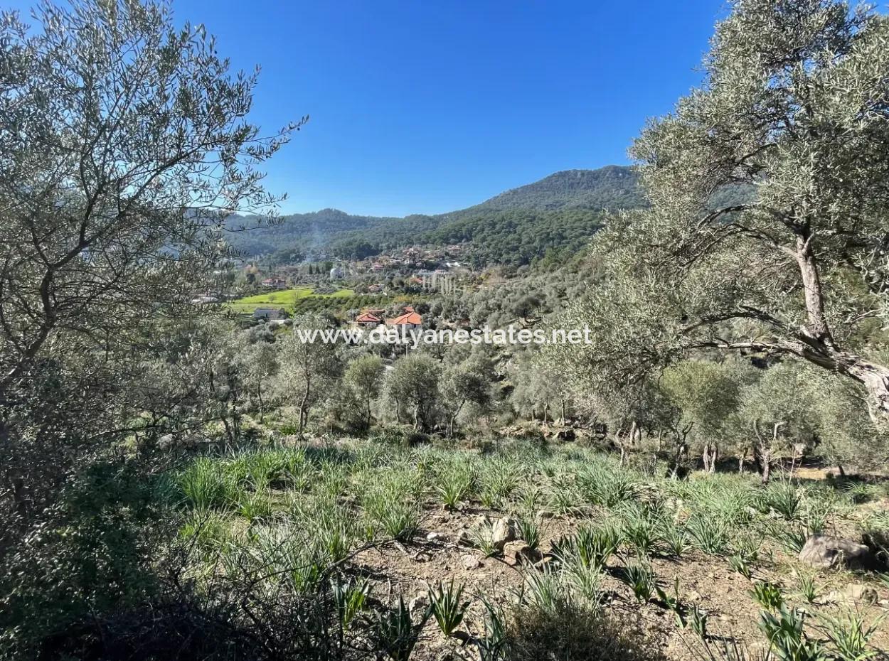 Çandır'da Deniz Ve Göl Manzaralı 950M2 Satılık 2B Tarlası