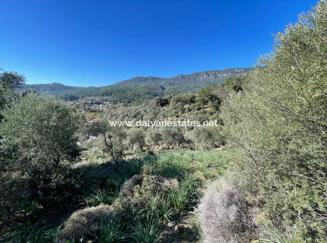 Çandır'da Deniz Ve Göl Manzaralı 950M2 Satılık 2B Tarlası