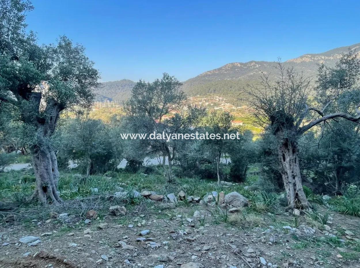 Çandır Göl Deniz Manzaralı 2,806M2 2B Satılık Tarla