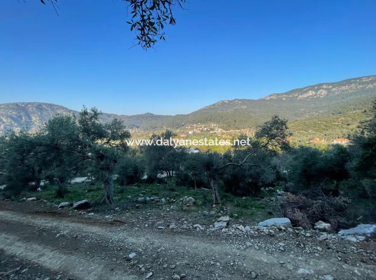 Çandır Göl Deniz Manzaralı 2,806M2 2B Satılık Tarla