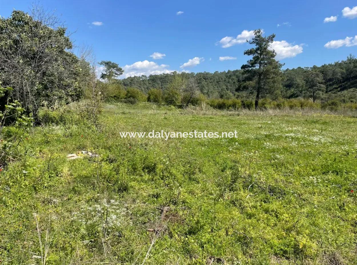 Zeytinalanın'da 5650M2 Tarla İçinde Satılık Köy Evi